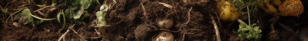 compost {{brizy_dc_image_alt imageSrc=