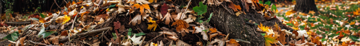 garden waste 1 {{brizy_dc_image_alt imageSrc=